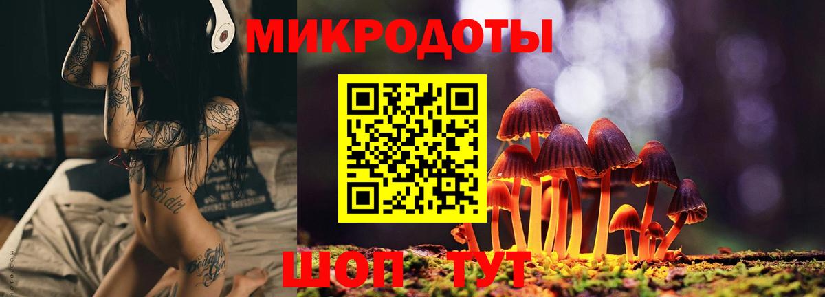 Псилоцибиновые грибы Cubensis Ноябрьск